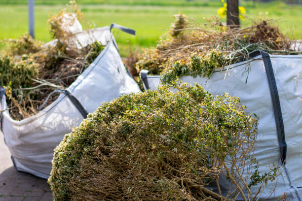 Best Office Junk Removal  in King George, VA